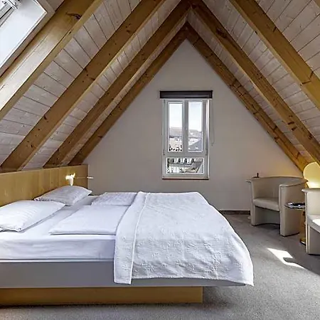 Dom Hotel 3*
